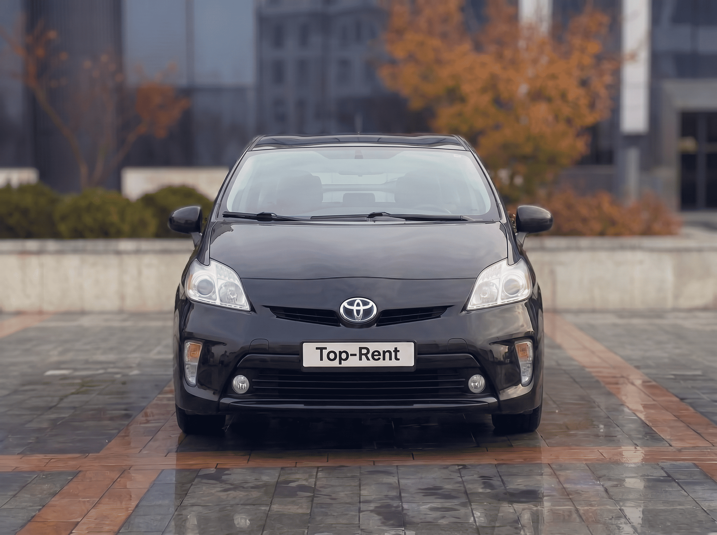 Toyota Prius 30