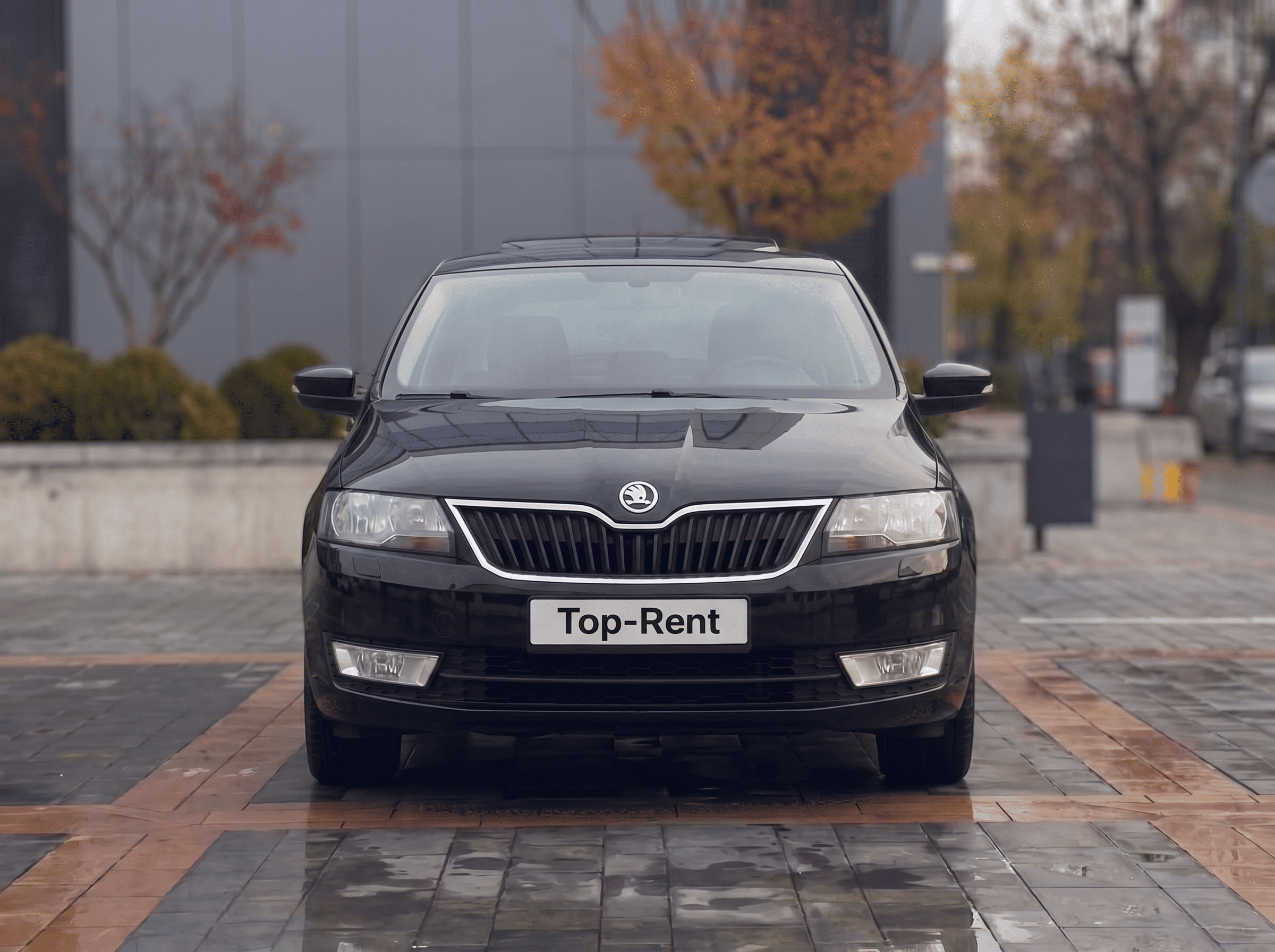 Skoda Rapid Sedan
