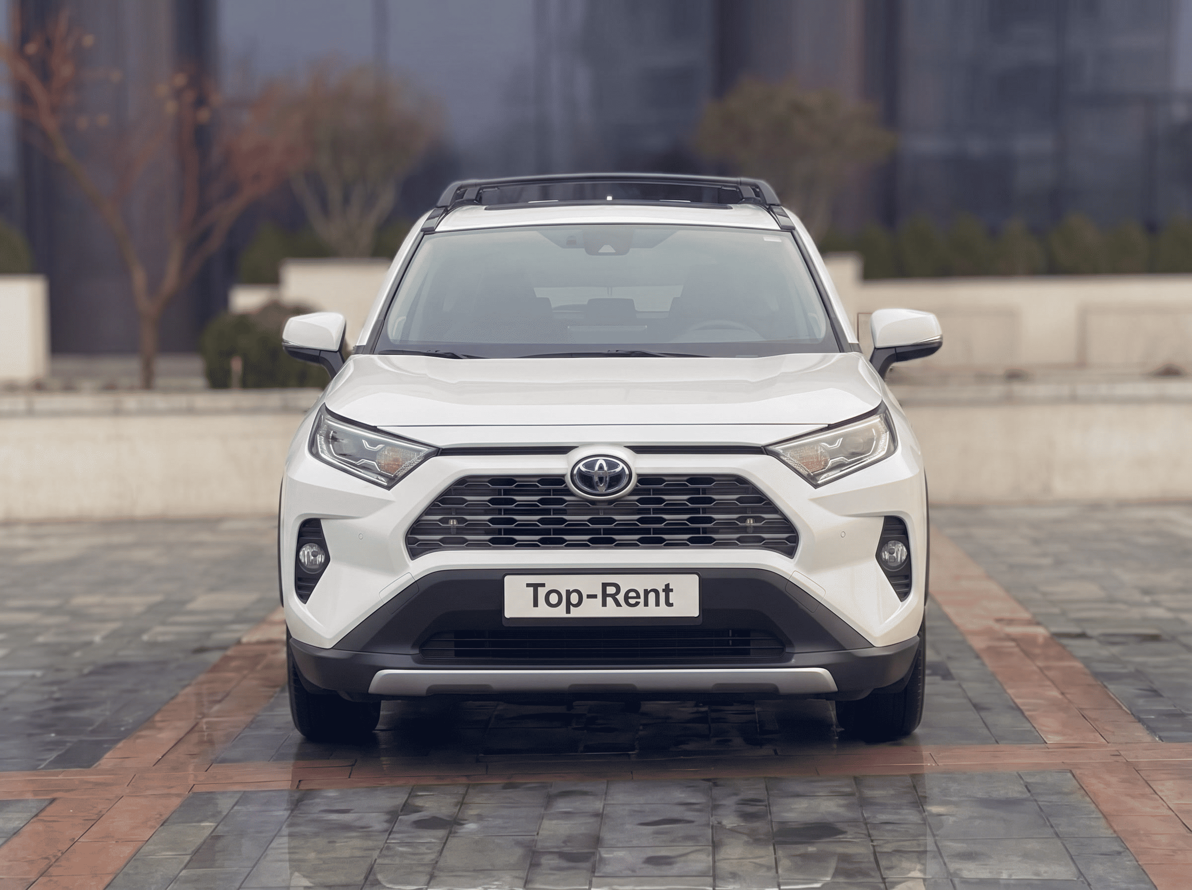 Toyota RAV-4