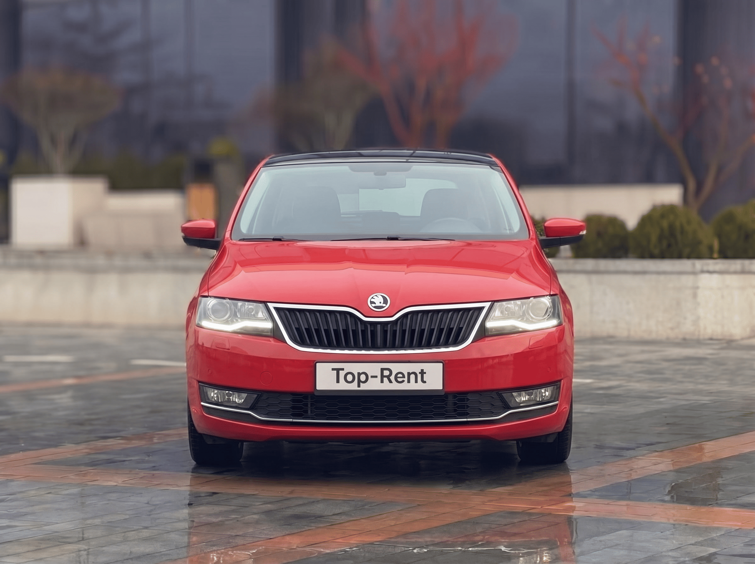 Skoda Rapid