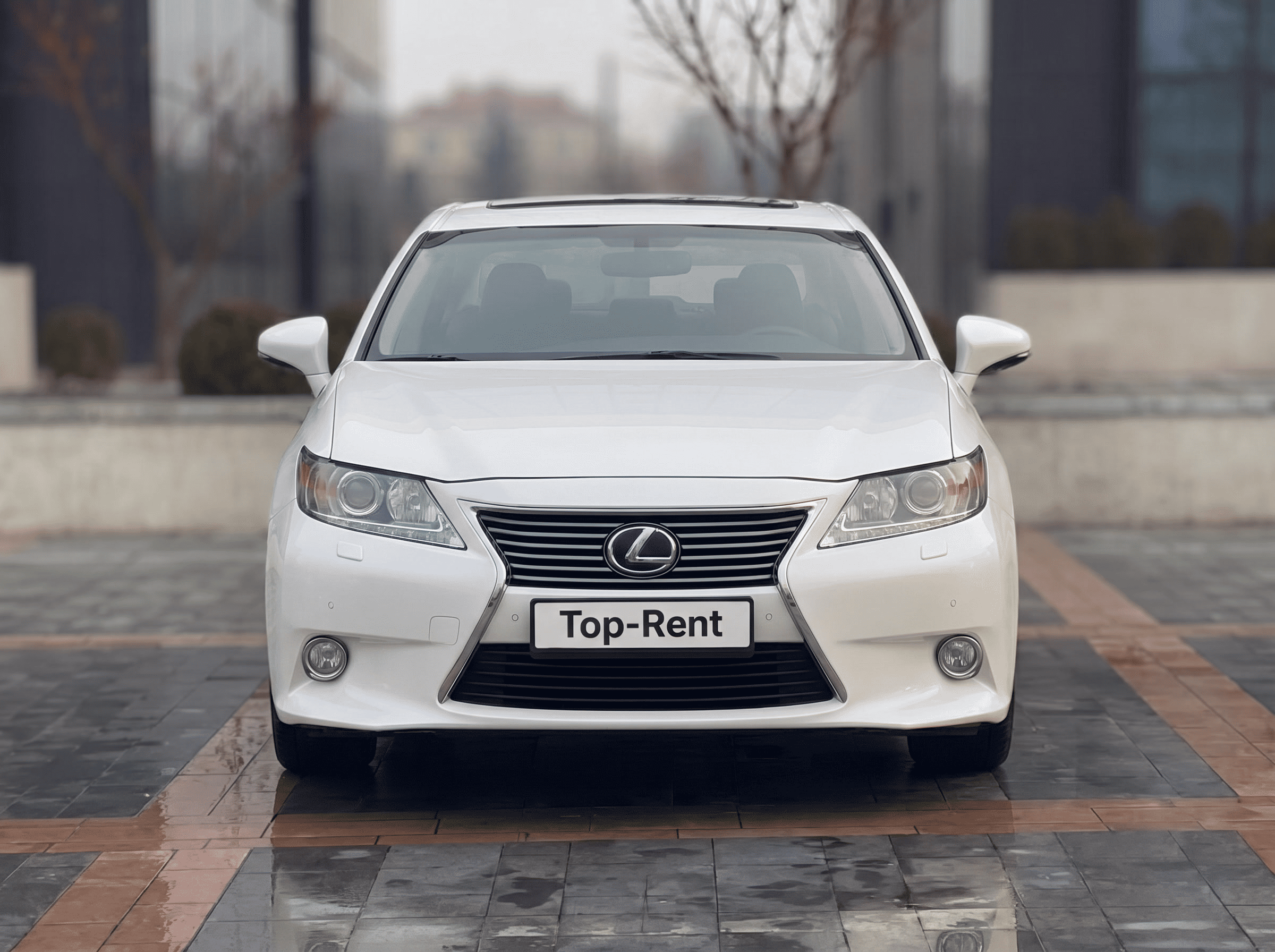 Lexus ES300h