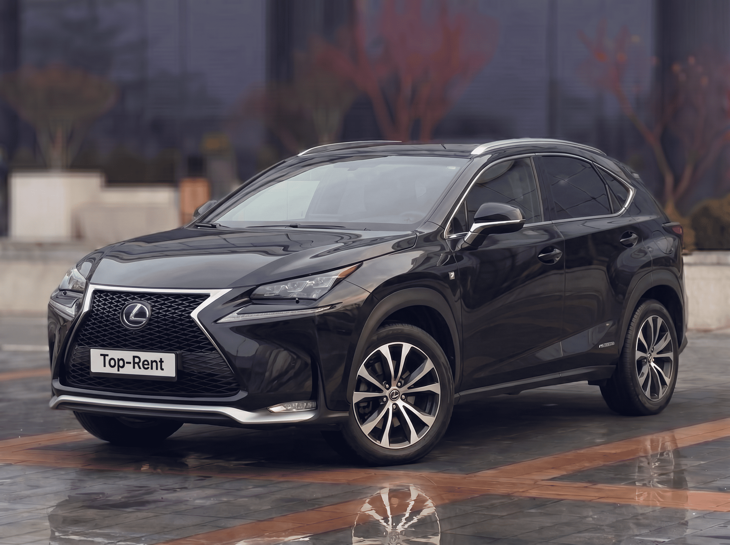 Chirie Lexus NX300h