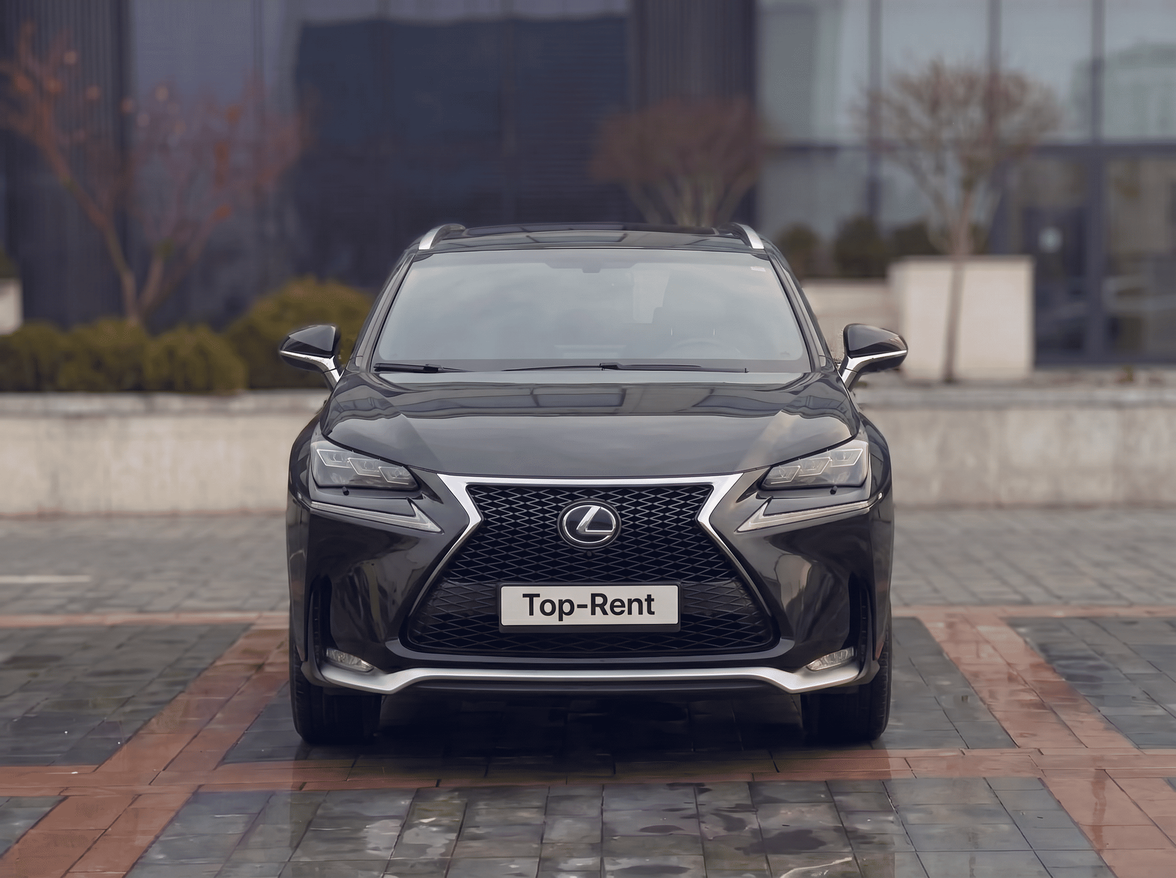 Lexus NX300h