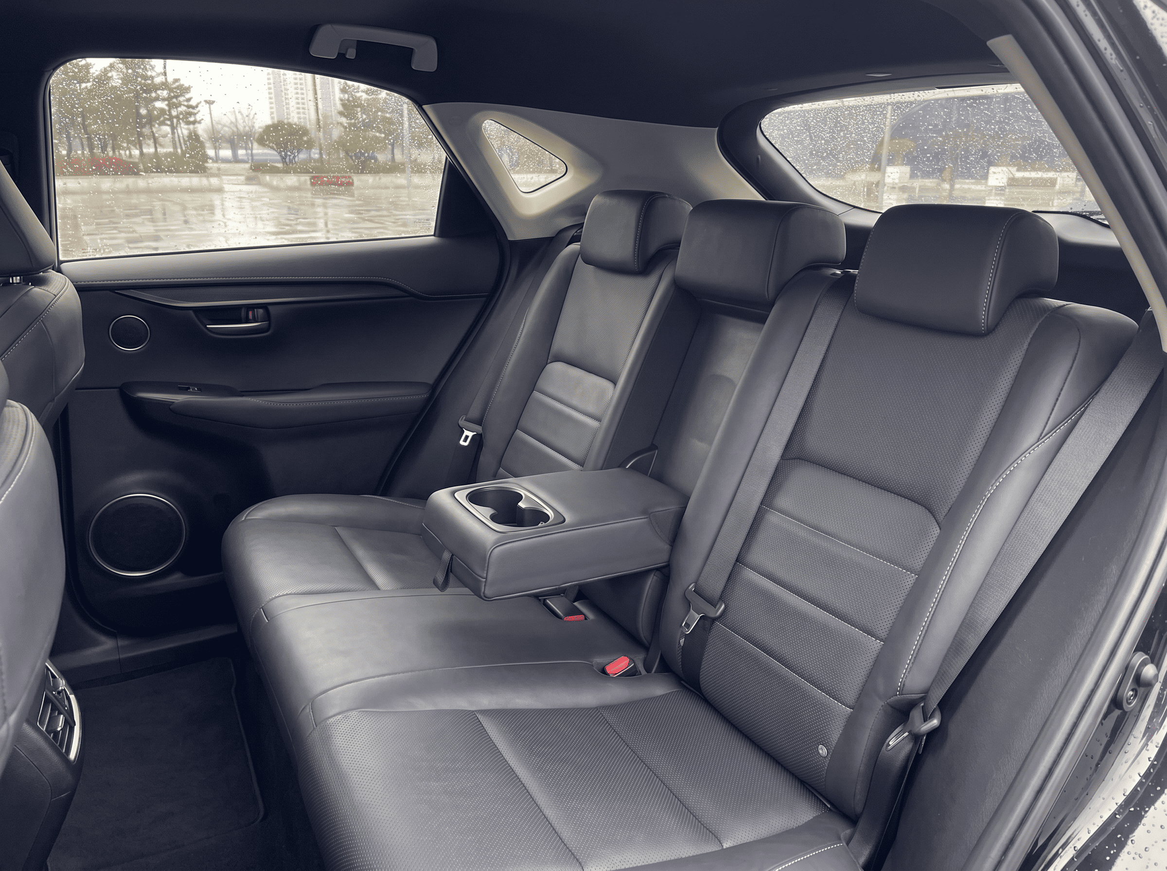 Lexus NX300h